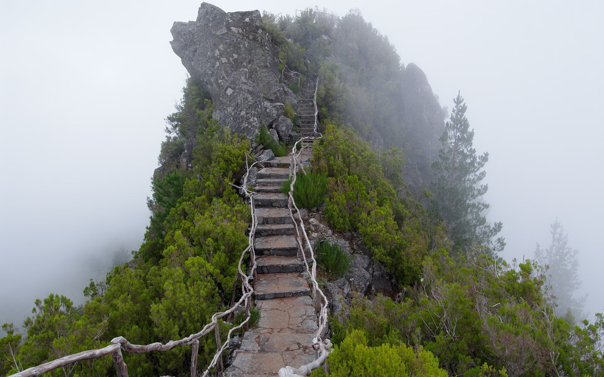 世界登山青年导师长期追踪研究第71期数据摘要发布,世界登山运动员排名